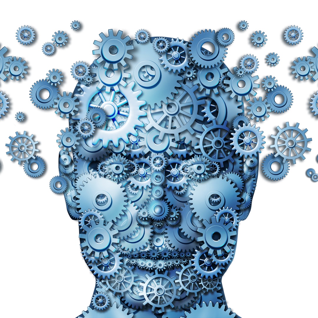 Conheça 5 ervas capazes de melhorar a saúde do cérebro