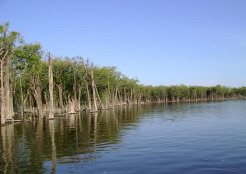 Criança de 3 anos desaparece em rio após cair de balsa no AM