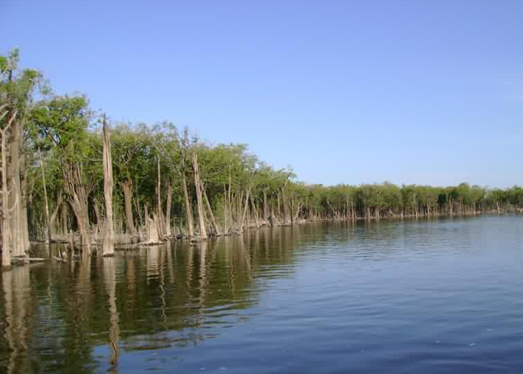 Criança de 3 anos desaparece em rio após cair de balsa no AM