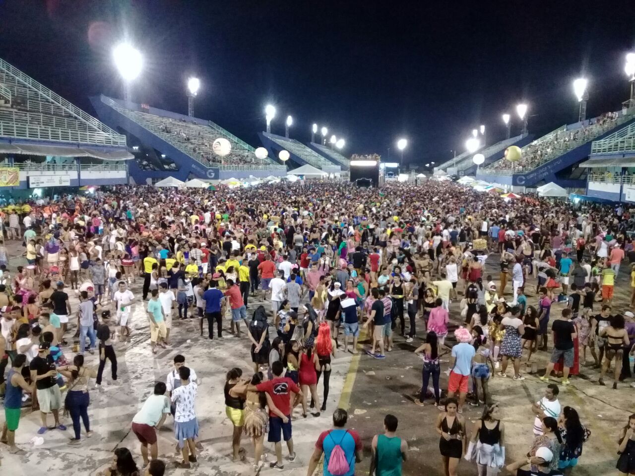 Piranhas agitam o sambódromo em Manaus
