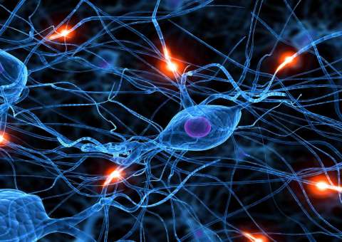 Paciente tem ondas cerebrais após ser declarado morto