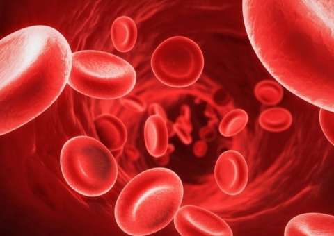 De nome e uso popular planta combate hemorragias