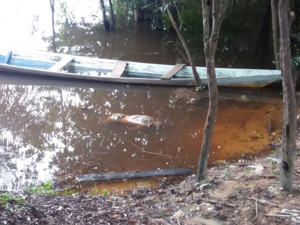 Corpo de homem é encontrado em lago na Zona Oeste de Manaus