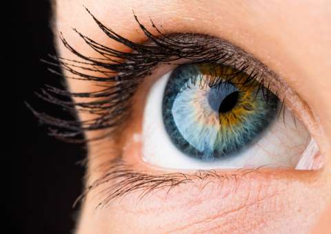 Cientistas criam retina artificial que pode restaurar visão