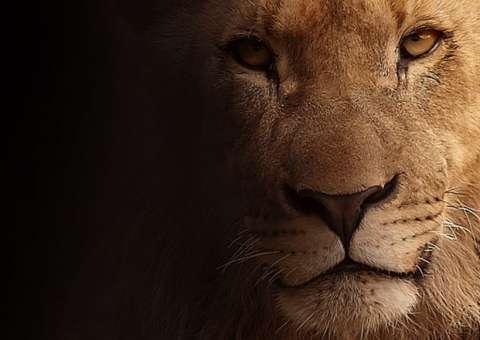 Receita fiscaliza quem posta ostentação nas redes sociais e não declara Imposto de Renda