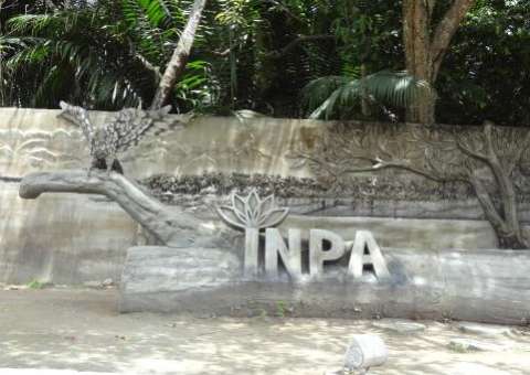   Pesquisadora do Inpa vai receber prêmio internacional em Paris 