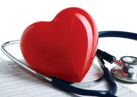 Espécie de feijão protege os ossos e reduz taxa de colesterol