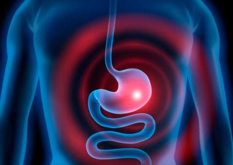 Planta com efeito similar à morfina tem indicações para distúrbios gástricos 
