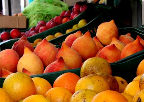 Prefeitura estuda propostas para revitalização de feiras e mercados