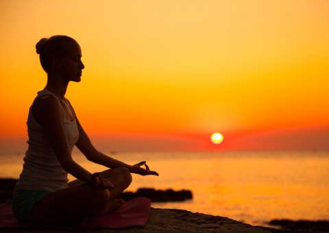 Rica em vitaminas e sais minerais, semente fortalece sistema nervoso 