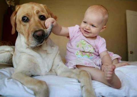 Conheça os benefícios da relação entre crianças e pets 