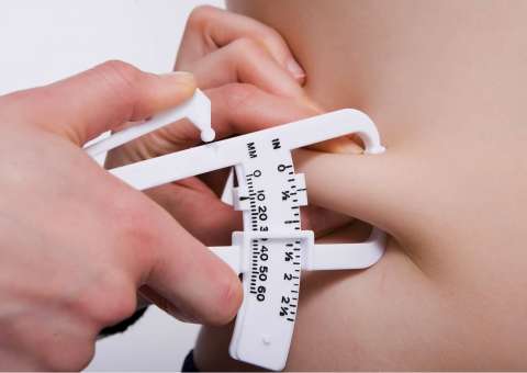 Professores de educação física ganham sistema on-line para avaliação corporal de  alunos 