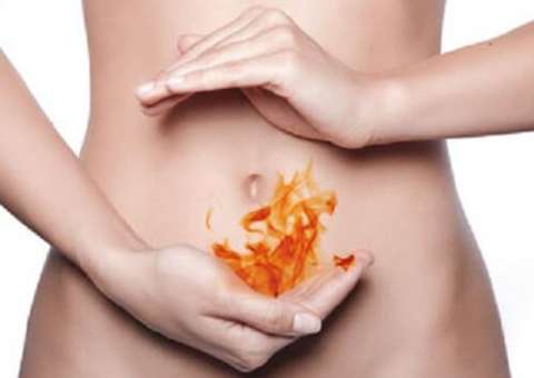 Conheça planta que pode combater infecções crônicas no intestino 