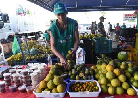 Agricultores familiares recebem subsídios para produção no Amazonas