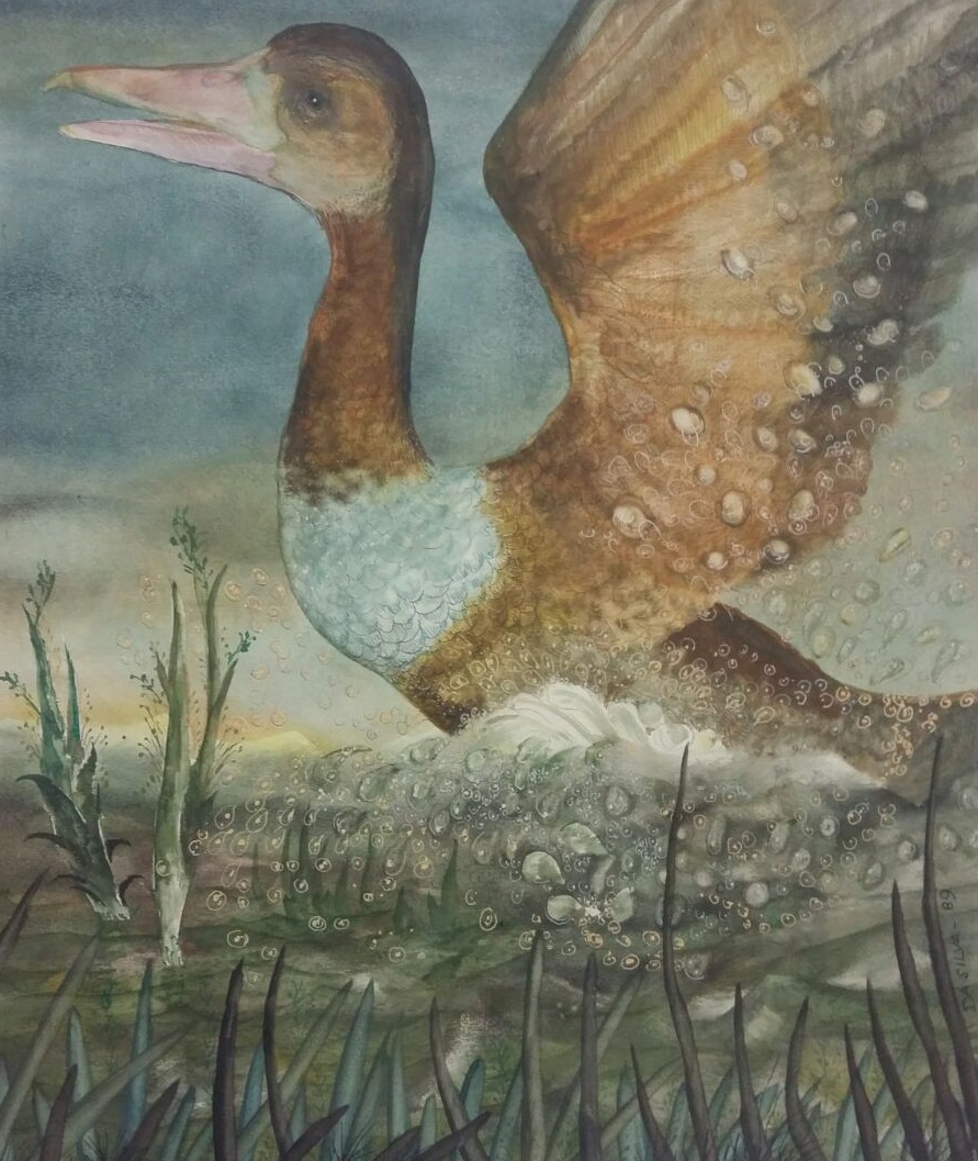 Imaginário amazônico é tema de exposição em shopping de Manaus