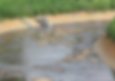 Homem morre após ser espancado e jogado em igarapé de Manaus