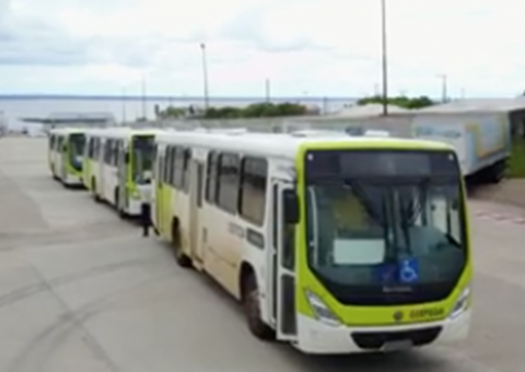 Frota do Transporte Coletivo recebe 30 ônibus novos nesta sexta