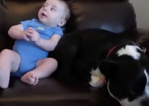 Bebê solta pum e reação de cachorro viraliza na web  