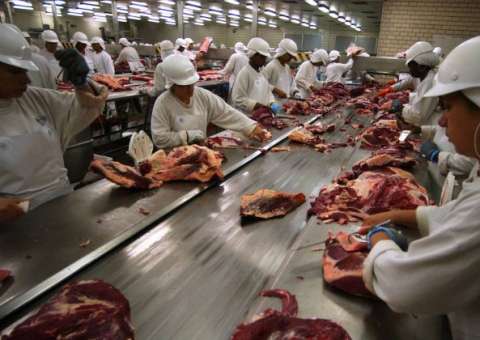 De carne estragada a uso de produtos cancerígenos: veja as irregularidades dos frigoríficos  