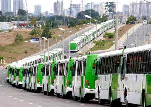 Frota com 30 novos ônibus chega a Manaus