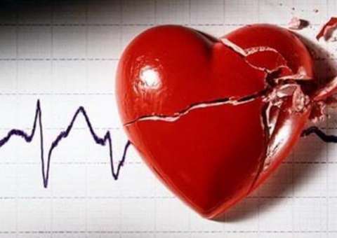 Folha e raiz de árvore são indicadas para tratar problemas do coração