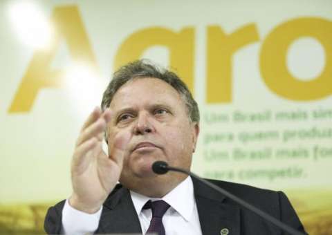 Ministro defende carne brasileira; técnicos se reúnem para avaliar medidas