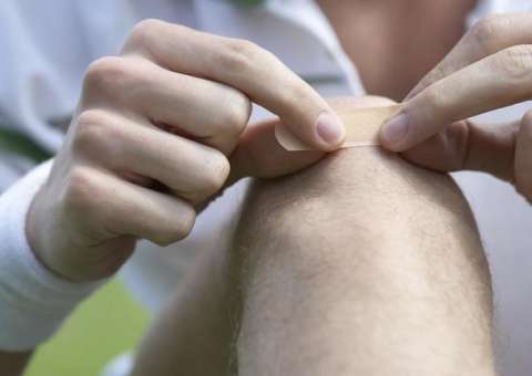 Com efeito analgésico, planta é usada como pomada para untar feridas 