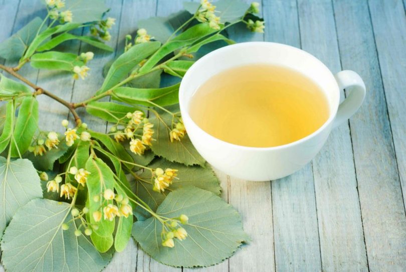 Chá de planta é indicado para acalmar tosse e gripe 