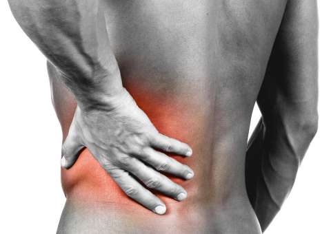 Cipó é indicado para tratar dores reumáticas e inchaço das articulações 