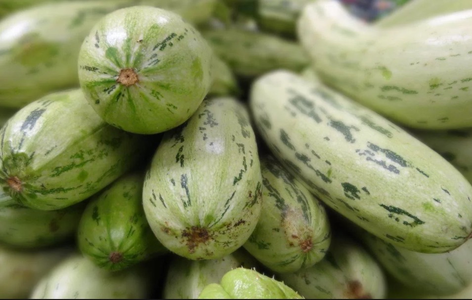 Consumo de abobrinha protege contra riscos de doenças cardíacas 