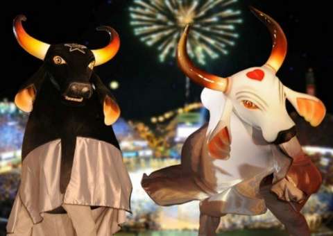 Planeta Boi desembarca em Manaus no dia 15 de abril