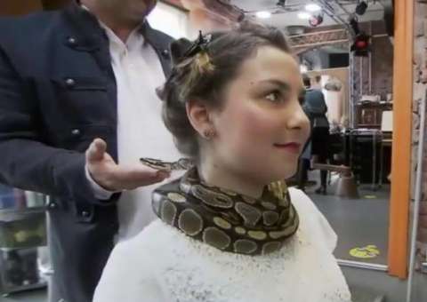 Cobra é usada em salão de beleza para massagear clientes antes dos procedimentos 