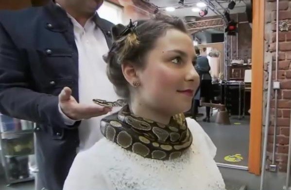 Cobra é usada em salão de beleza para massagear clientes antes dos procedimentos 
