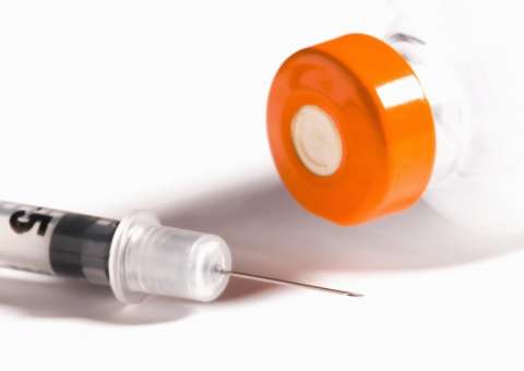 Pesquisas avaliam uso da semente para produção de insulina 