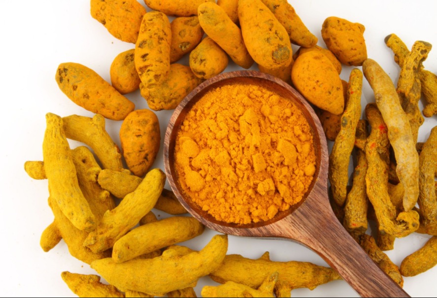 Pesquisas avaliam uso da semente para produção de insulina 