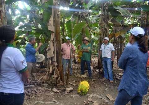 Banco do Povo começa a atender em distritos no interior do Amazonas