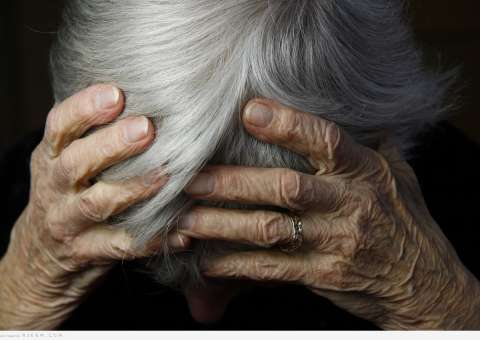 Folhas têm eficácia para proteger coração e prevenir Mal de Alzheimer 