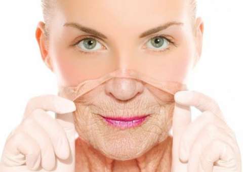 Hortaliça contêm substâncias que combatem o envelhecimento precoce e insônia 