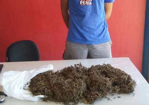 Homem é preso em flagrante com suposta droga cultivada  no Amazonas