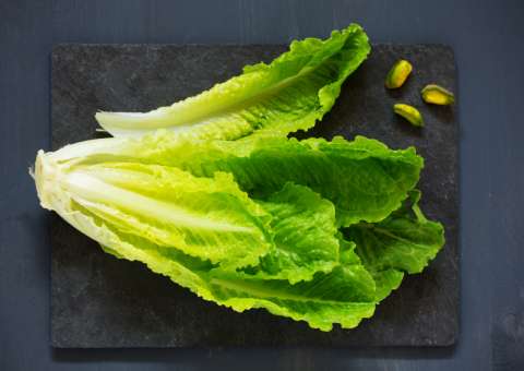 Apreciada na culinária, folha de planta apresenta ação depurativa 