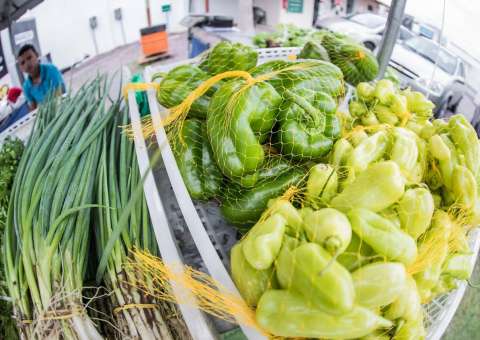 Agricultores ofertam produtos agroecológicos neste sábado em Manaus  