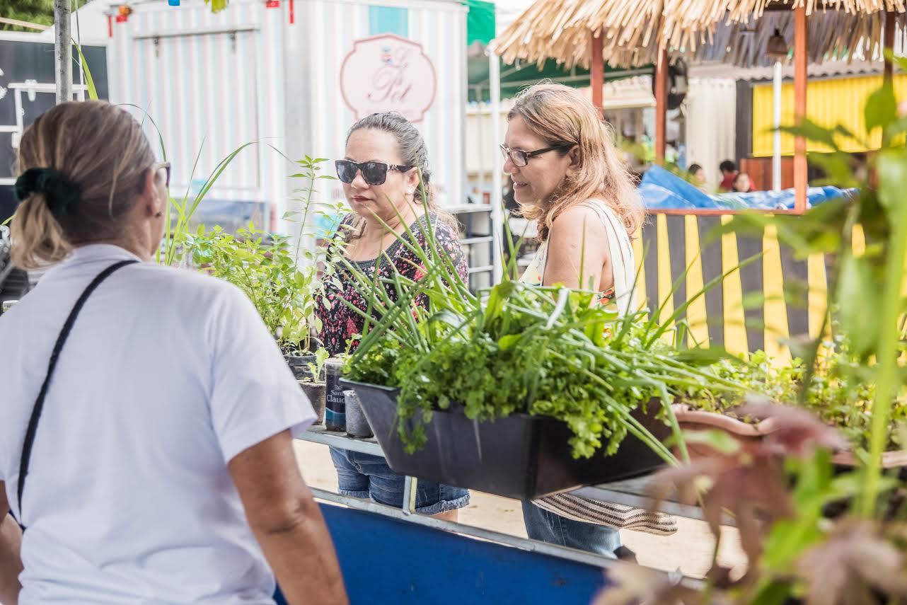 Agricultores ofertam produtos agroecológicos neste sábado em Manaus  