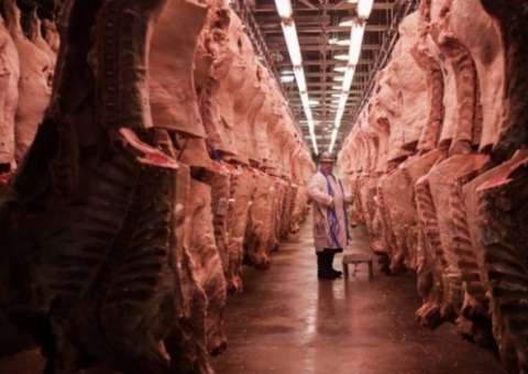 China retoma procedimentos de importação de carne brasileira nesta segunda-feira