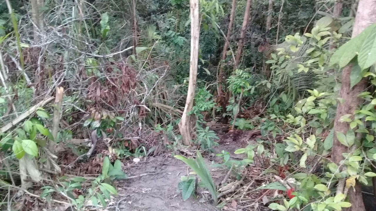 Trabalhador é assassinado acusado de denunciar tráfico de drogas em Manaus