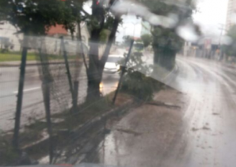 Seis ocorrências de chuva foram registradas pela Defesa Civil