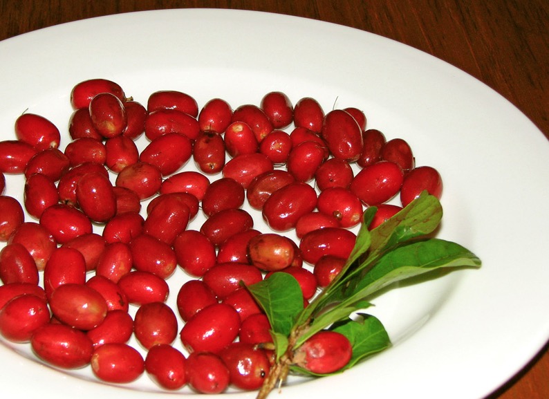 Fruta é conhecida por adocicar sabor ácido e azedo 