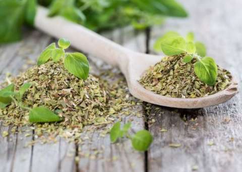 Tempero usado em pizza  promove o equilíbrio da flora intestinal 