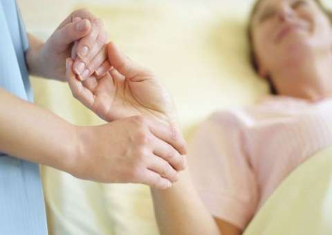 Planta é rica em substâncias eficazes contra diversos tipos de câncer 