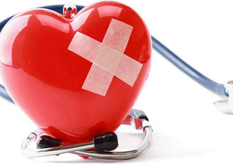 Planta ornamental pode ser usada para tratar insuficiência cardíaca 