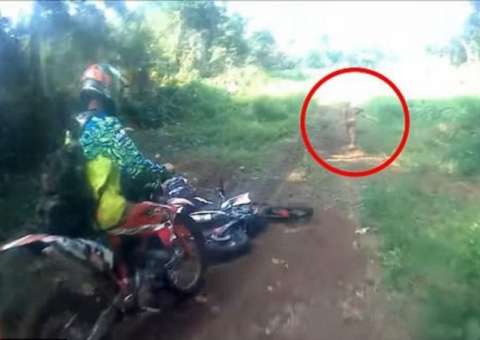 Motociclistas flagram 'criatura bizarra' correndo pela mata durante trilha